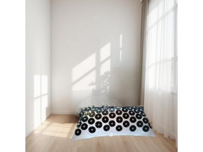  |  | E2 Shungite Acupressure Iplikator – Small Inflatable Mat on Hygienic Film