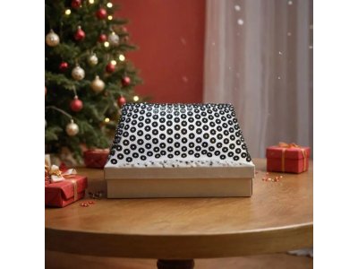  |  | D4 Iplikator d’acupression à la tourmaline – Tapis hygiénique gonflable sur film transparent