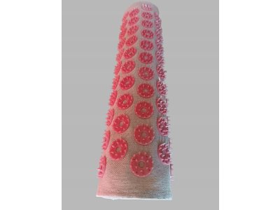  |  | D1 – Akupressurmatte Iplikator Kuznecova