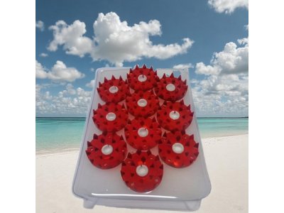  |  | A5 Small Acupressure Iplikator for the Face