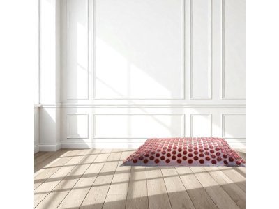  |  | D4 – Tapis d’acupression gonflable hygiénique