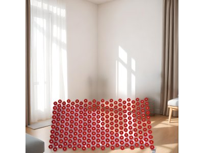  |  | D6 – Transparente Akupressurmatte Iplikator