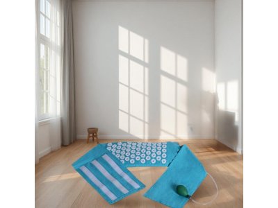  |  | C1  Pneumoiplikator